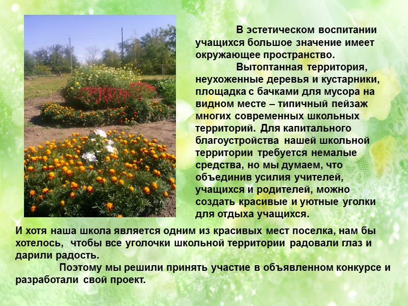 В эстетическом воспитании учащихся большое значение имеет окружающее пространство. Вытоптанная территория, неухоженные деревья В эстетическом воспитании учащихся большое значение имеет окружающее пространство. Вытоптанная территория, неухоженные деревья